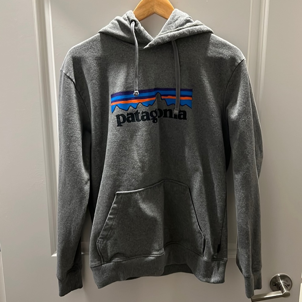 Grey Patagonia Hoodie